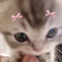 Kimy (@princessskimy) 's Twitter Profile Photo