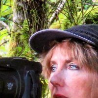 Pacificnorthwestkate🇨🇦 (@pnwkate) 's Twitter Profile Photo Pacificnorthwestkate🇨🇦 (@pnwkate) 's Twitter Profile Photo