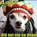 Nathaniel Jordan - @Kkeeppitreal - Twitter