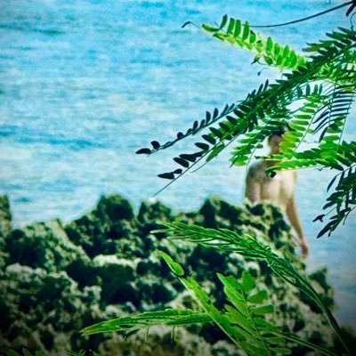 docomo52106's profile picture. 