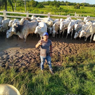 JerrySanto65888's profile picture. 