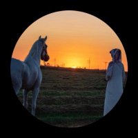 h.s (@hamadsiii) Twitter profile photo