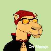 slippagqnt's profile picture. dex | swap | multi-chain aggregator | one-stop cross-chain bridge | nft aggregator | buy crypto easy