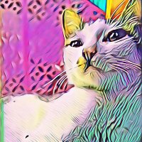 Mearg Meresa (@userawlw) 's Twitter Profile