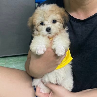 S5KDan's profile picture. 