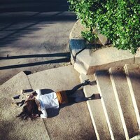 e l ๐ s e (@curlyqueue) 's Twitter Profile