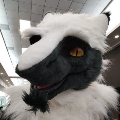 🧀 Sergal |🇲🇽 Mexico🇲🇽|Lv.27|He/Him|✏️Writer✒️| Furry 🐾 and Fursuiter ✨️ | 🔞 No minors 🔞 | Banner by Fluffy Bardo.