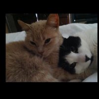 Kim Legault 🇨🇦 (@legault_kim) 's Twitter Profile Photo