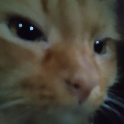 _linabels's profile picture. 