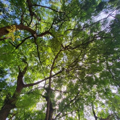 Literary_Echoes's profile picture. Echoes of stories long told. Sharing fragments of wisdom, fiction, and everything in between.