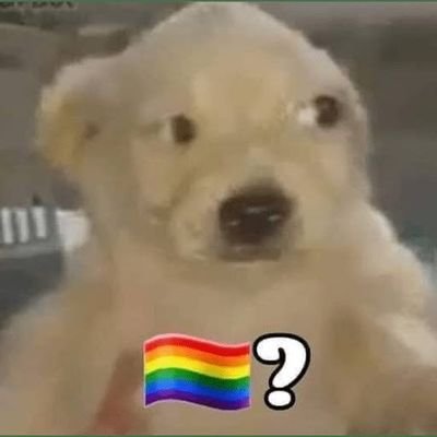 PDSPCAM0433397's profile picture. Vine a pelear con la gente por redes sociales, es todo.