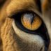 huguerrar (@ugluis) Twitter profile photo huguerrar (@ugluis) Twitter profile photo