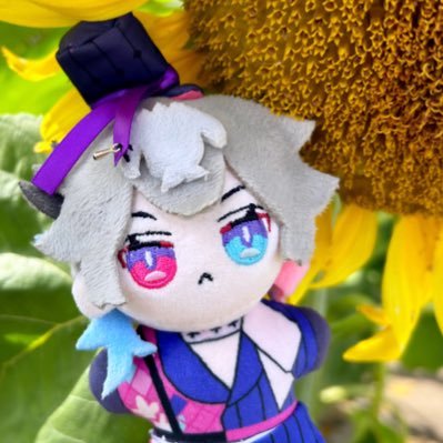jestertravels's profile picture. photos of a certain jesters adventures | plush created by @kri5pp