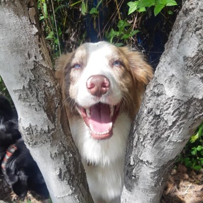 morgs2703's profile picture. 