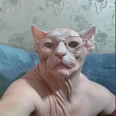 NexX_schizzi's profile picture. 