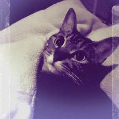 Chirichan000's profile picture. 