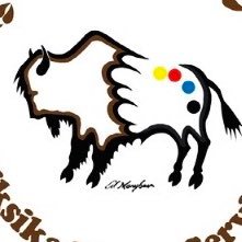 First Nations Health Consortium/U of C - Adjunct Professor & Indigenous Governance/Founder SN7/Okaki Health Intelligence/N’we Jinan Board/IPHCPR