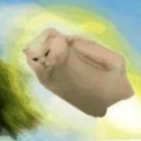 会飞的猫 (@77fansila) Twitter profile photo