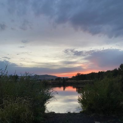 averageduck6294's profile picture. cream team who up ✋