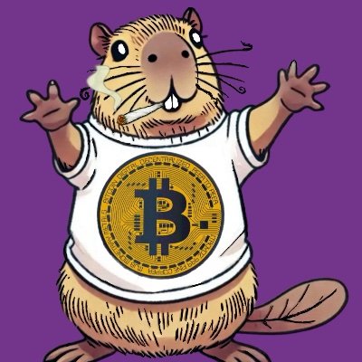 Napoleonprofit's profile picture. 