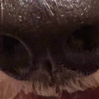 まりこさんのプロフィール画像