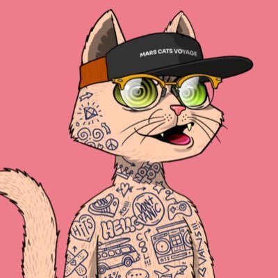 sojournflanny's profile picture. i like metal and crypto