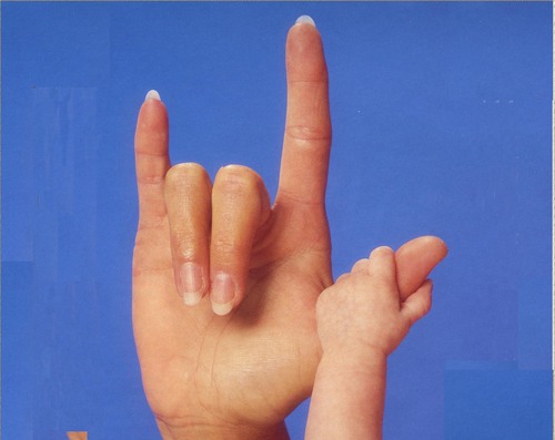 rfleisch1015's profile picture. State Liaison for Programs for Children who are Deaf or Hard of Hearing