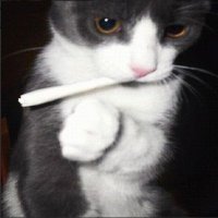 🚬 (@qortmdx) 's Twitter Profile