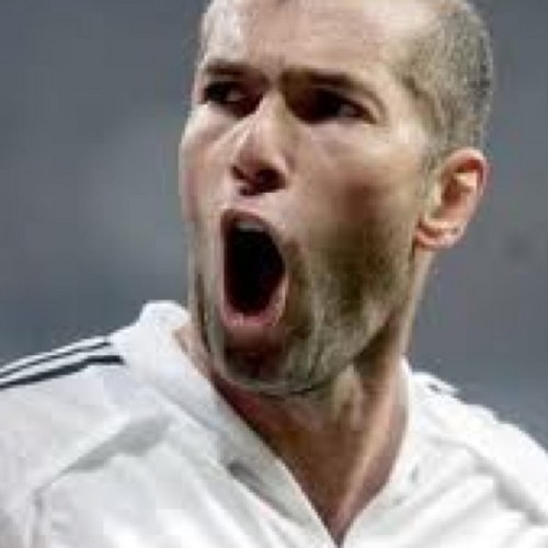 zayed_almutairy's profile picture. أن تموت واقفًا أفضل بأن تعيش تحت الأقدام