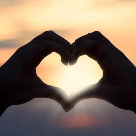 JunieGee1's profile picture. Army veteran and American first.