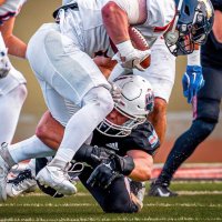 Calvin Geddes (@geddescalvin) 's Twitter Profile Photo