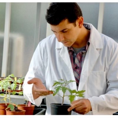 Researching on Microbes (Virus, Bacteria). Molecular Epidemiology. Evol Ecology. Crop protection ↪️ at CEBAS - CSIC, also on board SEF 🇪🇸 and EFSA 🇪🇺
