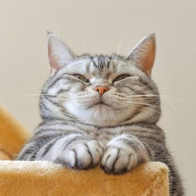 BoonsongGu's profile picture. ถังดับเพลิงหมายเลข5
ジッブ