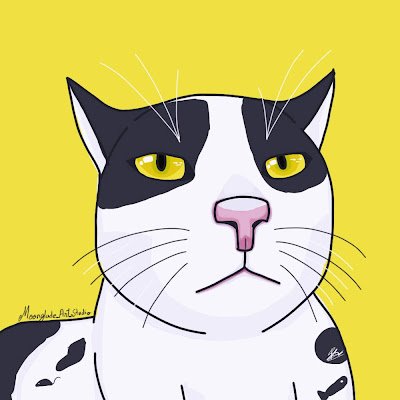 Hii, I am Sam you can call me May, just an independent 2D animator and Illustrator based in India ✨