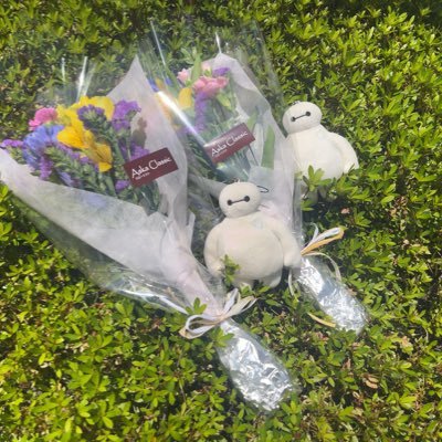 Bay06_MI's profile picture. 猫が好き😸