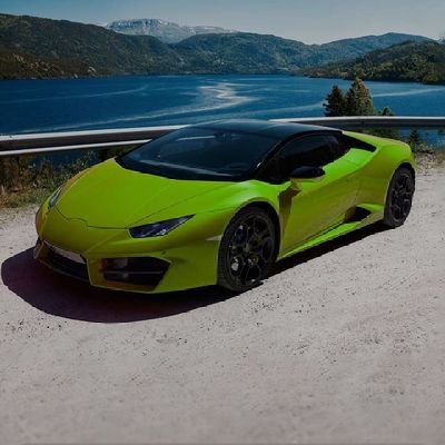 expert31051's profile picture. 