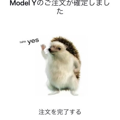 モデルY RWD乗り🚘スーパーチャージャーのみの運用で充電してます⚡️ テスラをお得に購入したい方は以下紹介URLから注文するとお安くなります☺︎