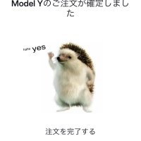 ツイテス@モデルY (@tuituiaro) 's Twitter Profile Photo ツイテス@モデルY (@tuituiaro) 's Twitter Profile Photo