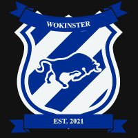 Wokinster (@wokinster) 's Twitter Profile