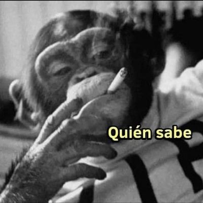 hans_hans61's profile picture. 