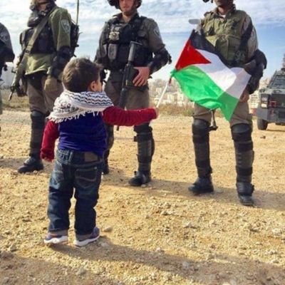 Paddystinian and Proud 🇵🇸❤️🇮🇪 Cry me a River to the Irish Sea.