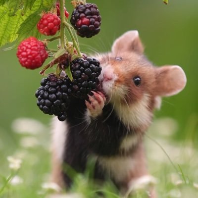 GrundValerie's profile picture. widow, mother, grandmother, sister aunt. Grew up in England, married an Austrian and have been living happily in Vienna ever since.