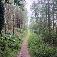 Dr Helen Keane ☘ (@keanemhelen) 's Twitter Profile Photo Dr Helen Keane ☘ (@keanemhelen) 's Twitter Profile Photo