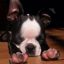 Werner Strydom - @wernerstr - Twitter