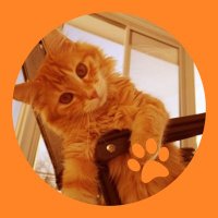 ๐๐ญ๐ซ๐๐๐ค๐ฒ ๐ญ๐ก๐ ๐๐ฎ๐ฉ๐๐ซ๐๐๐ญ๏ผ (@thunder_orangec) 's Twitter Profile
