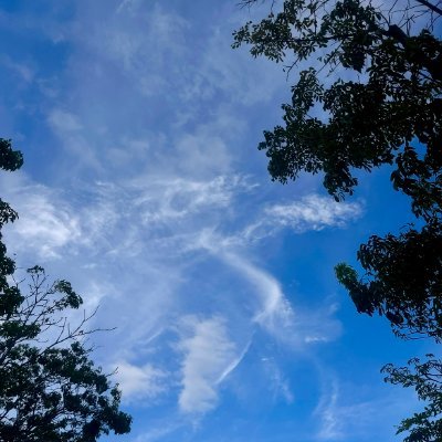 kayalathoughts's profile picture. click here!! https://t.co/TwZg9pBND8