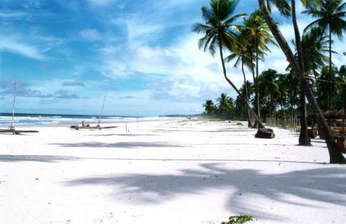 Koalian's profile picture. Travailleur indépendant