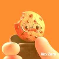 zrarp43's profile picture. Nft summit istanbul