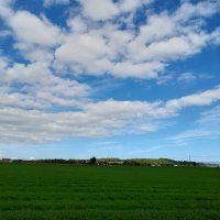 いなかっぺ (@hakuhastu) Twitter profile photo