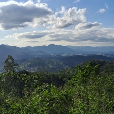 xnews78's profile picture. Student